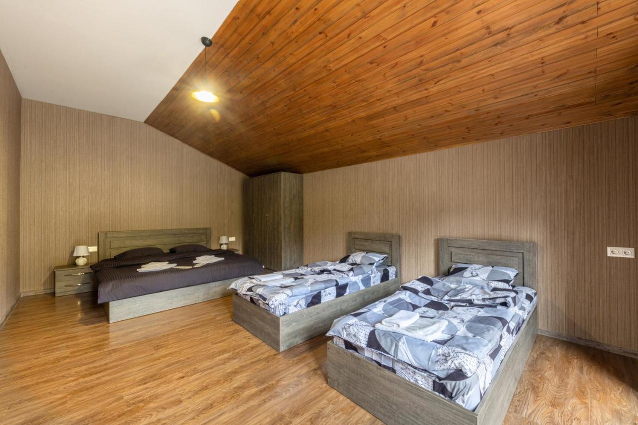 - Didveli Residence Lux Apartments - Bakuriani Esterno foto