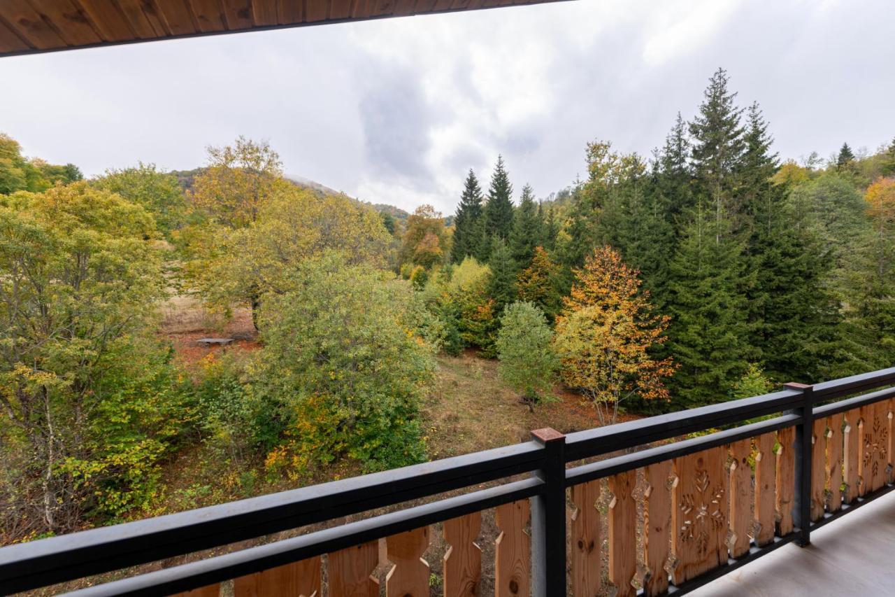 - Didveli Residence Lux Apartments - Bakuriani Esterno foto