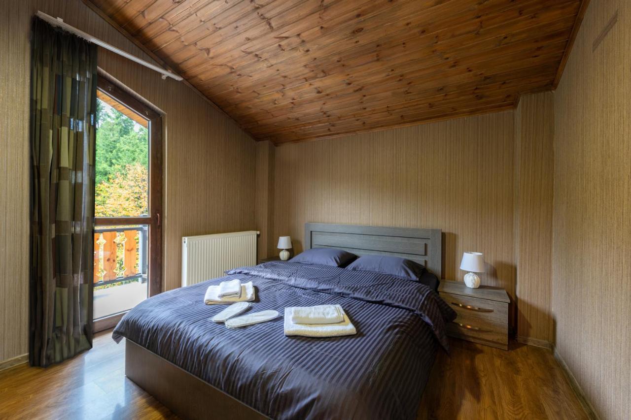 - Didveli Residence Lux Apartments - Bakuriani Esterno foto