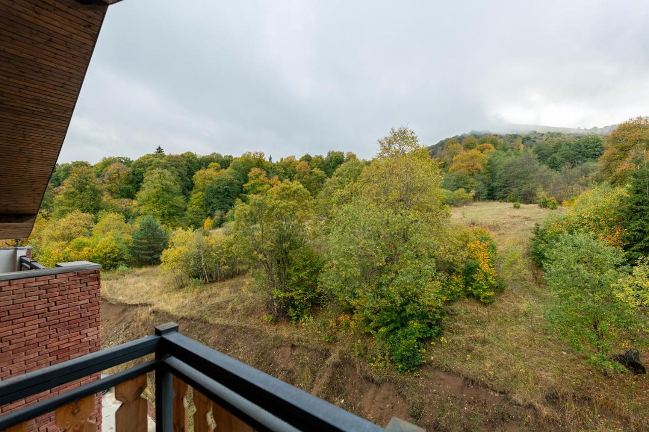 - Didveli Residence Lux Apartments - Bakuriani Esterno foto